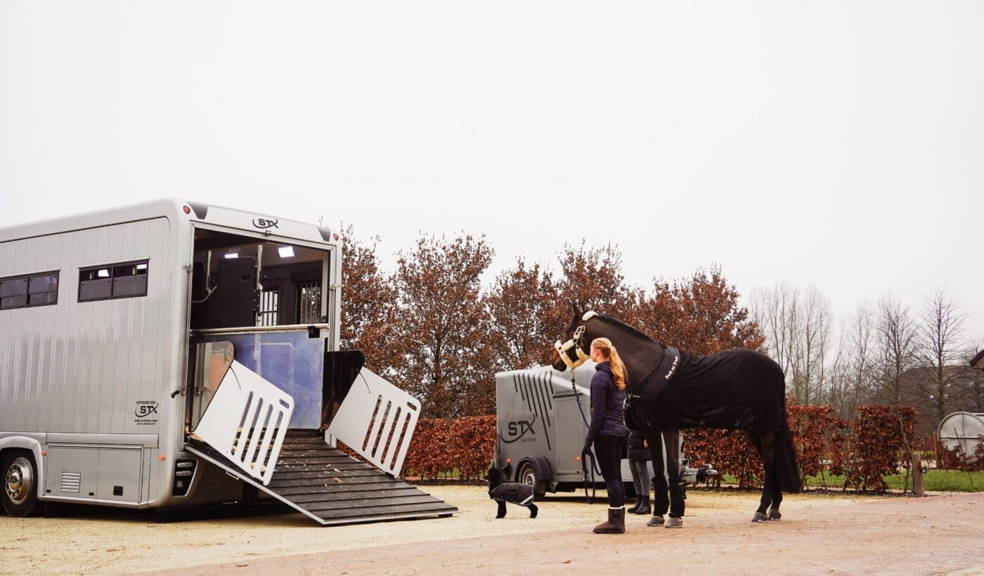 Pourquoi la location d&rsquo;un camion à chevaux d&rsquo;occasion de Stephex est un choix intelligent et abordable ?