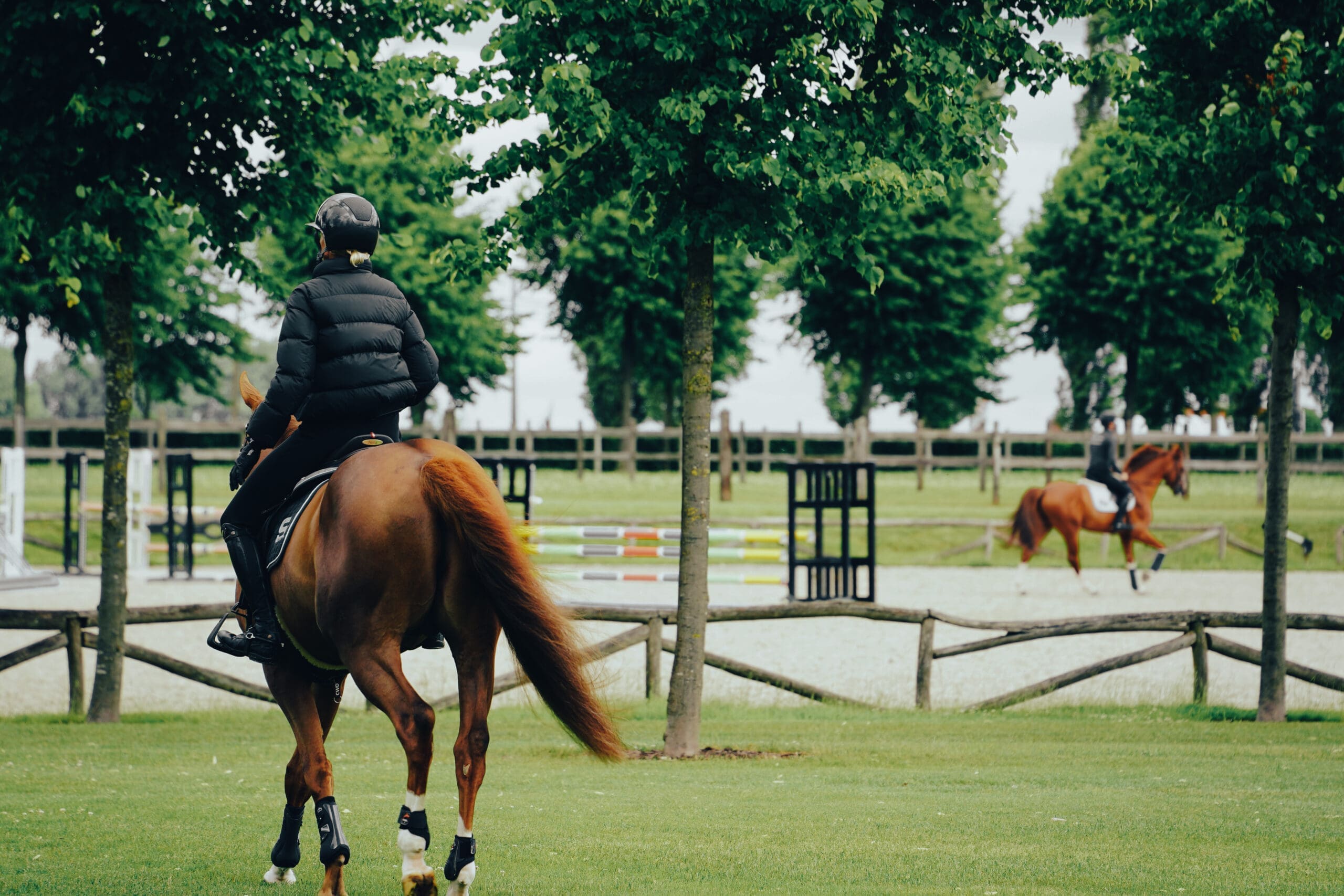 Horse Transport Leasing
